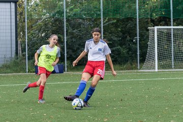 Bild 41 - C-Juniorinnen HSV - Walddoerfer : Ergebnis: 9:1